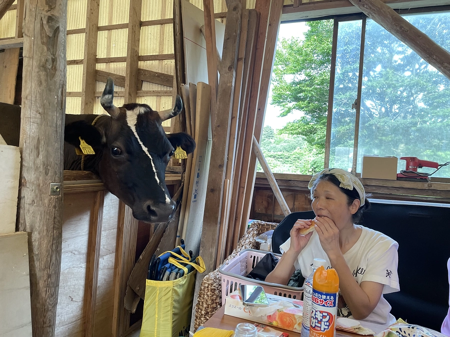 新しいお部屋出来てます✨✨