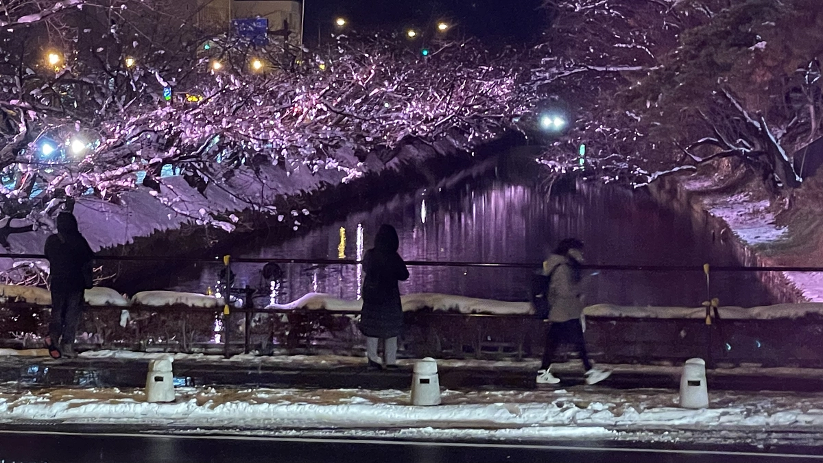 本点灯が始まりました！！