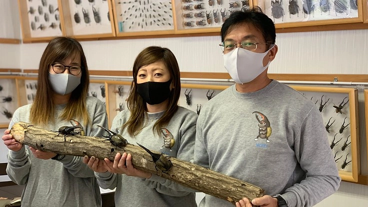 兵庫「たつの昆虫館 」の心でつなぐ昆虫館応援プロジェクト