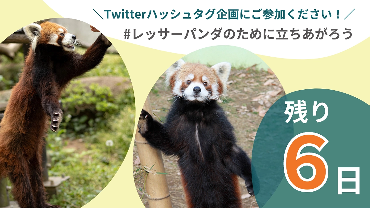 残り６日！Twitterハッシュタグ企画に是非ご参加いただき応援の輪を広げてください！
