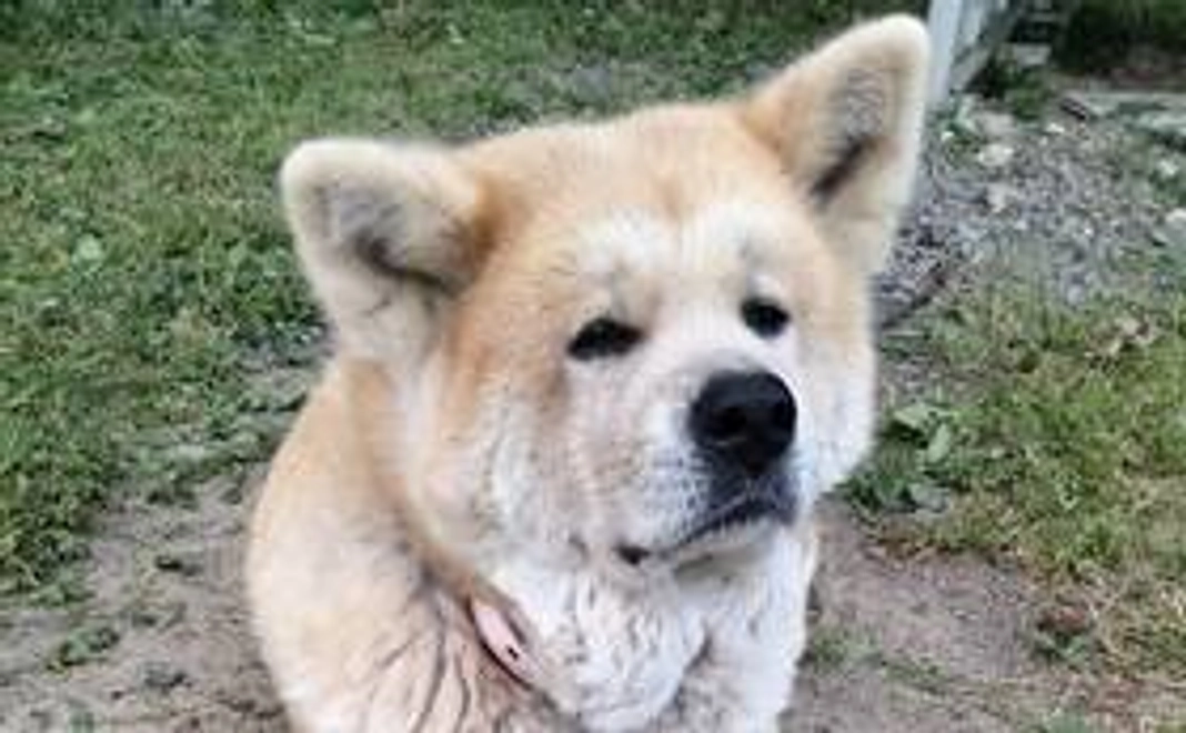 ハル応援コース①