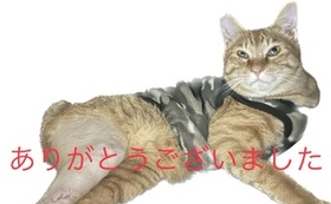 お礼のメール(写真付き)