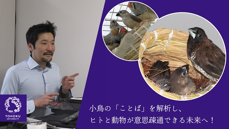 動物の「ことば」を解読する研究促進のため、実験機材購入にご支援を!