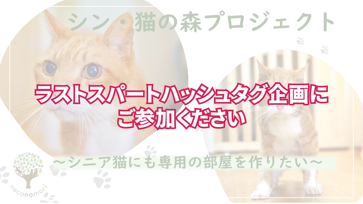 ラストスパートハッシュタグ企画！ひとりでも多くの方にプロジェクトが届くよう、ご参加をお願いします！