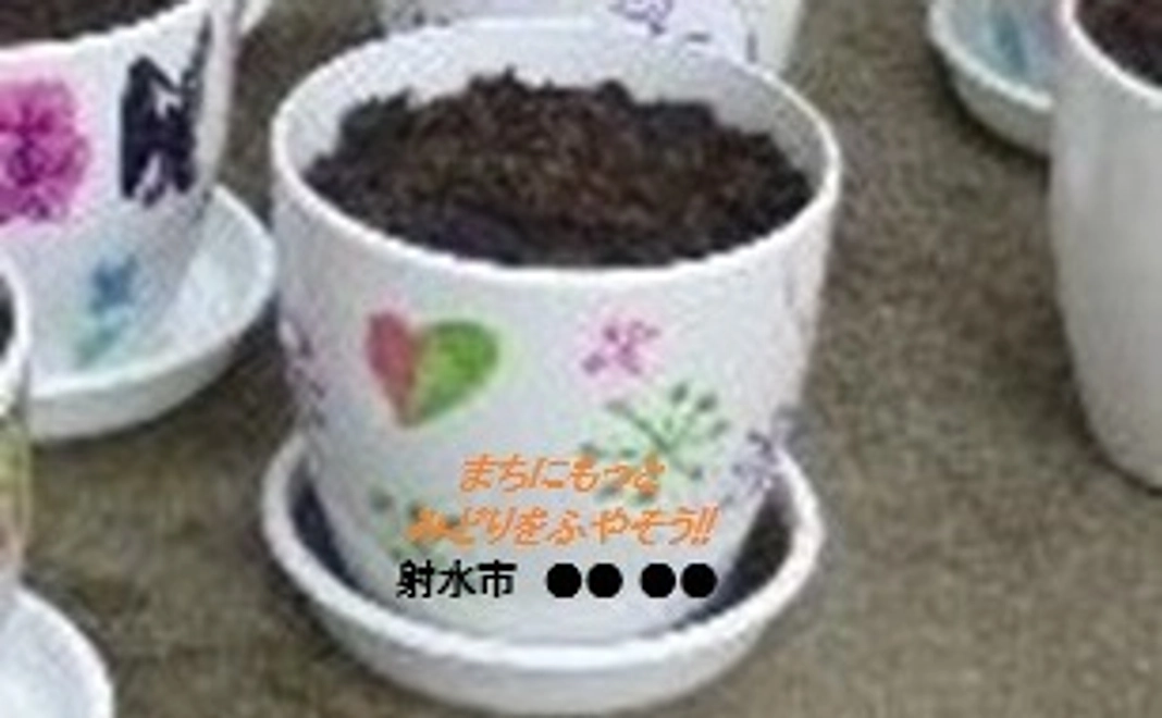 個人向け活動応援プラン