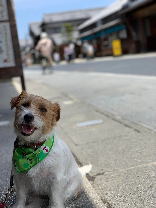 【ワンズ・ラフのストーリー⑥憧れのフォレストヒルズ那須】