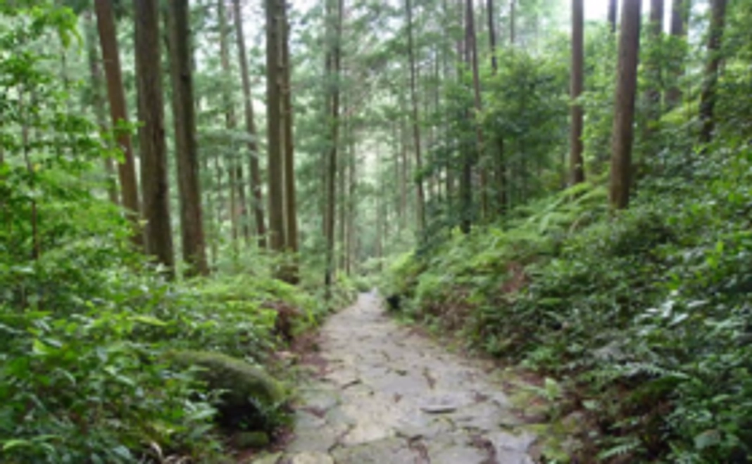 即決！極上の活動応援