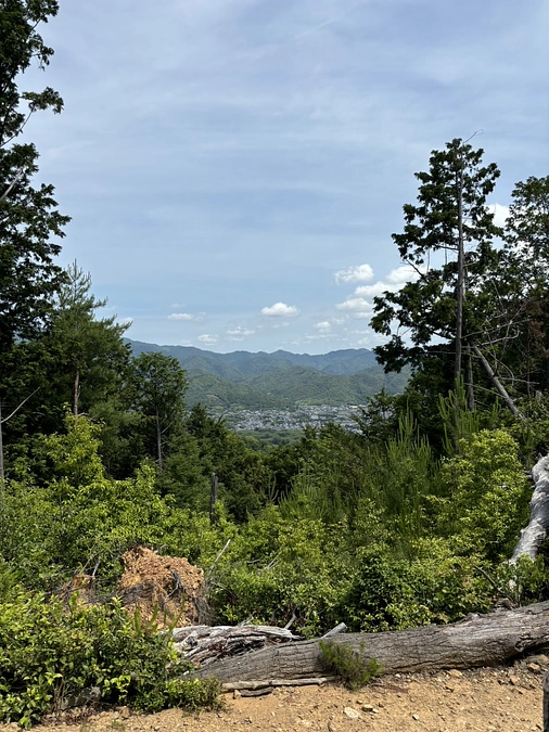 松尾山廃寺調査経過報告③