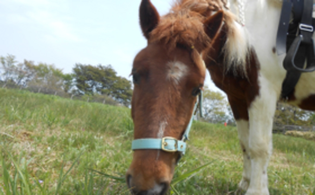 新馬デザインのオリジナルマグカップをお届けします!