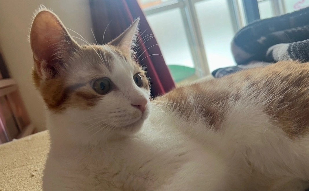 全力応援コース!50,000円