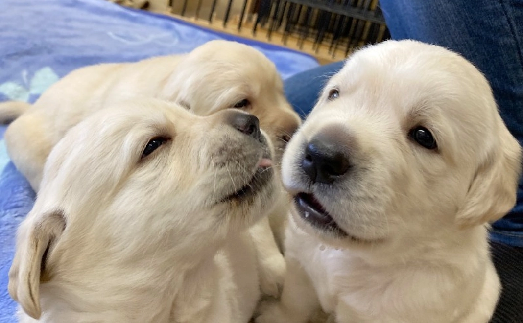 5千円/応援サポーターコース