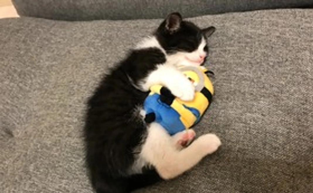 むーくん応援②