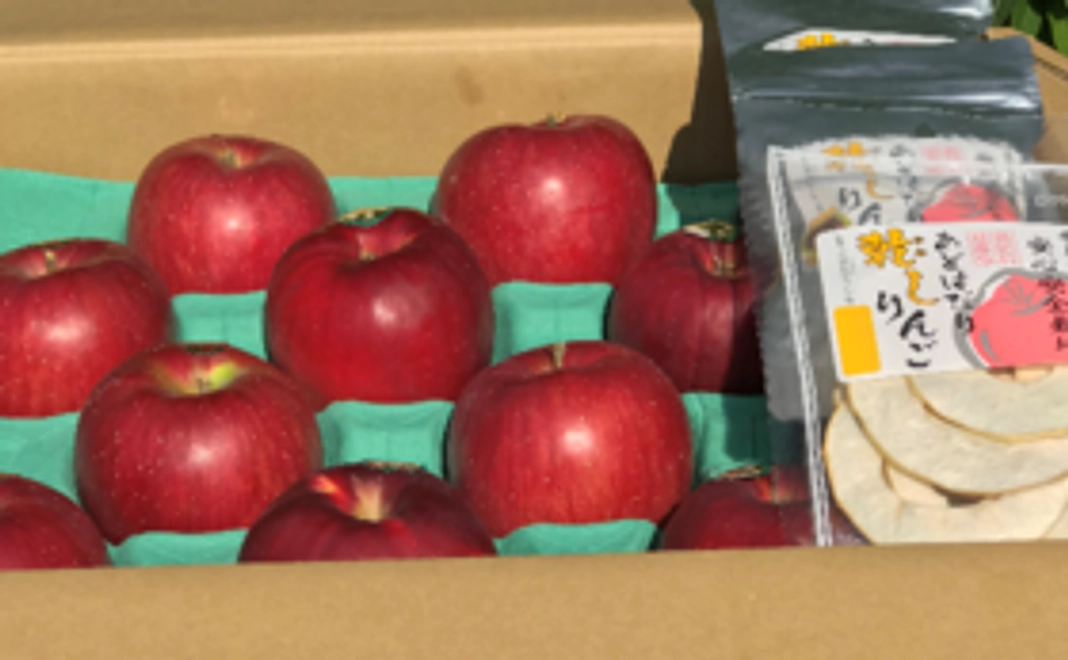 もひかん林檎・特選品　5kgセット　約14-18個入り＋ドライアップル2袋