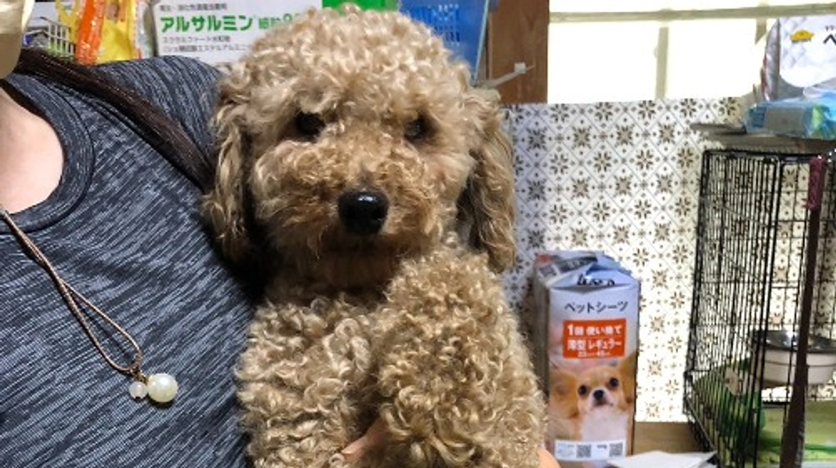 達成のお礼とクルの近況報告