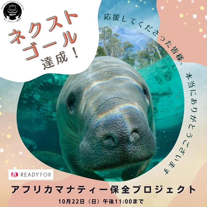 ネクストゴール達成のお礼！その先へ