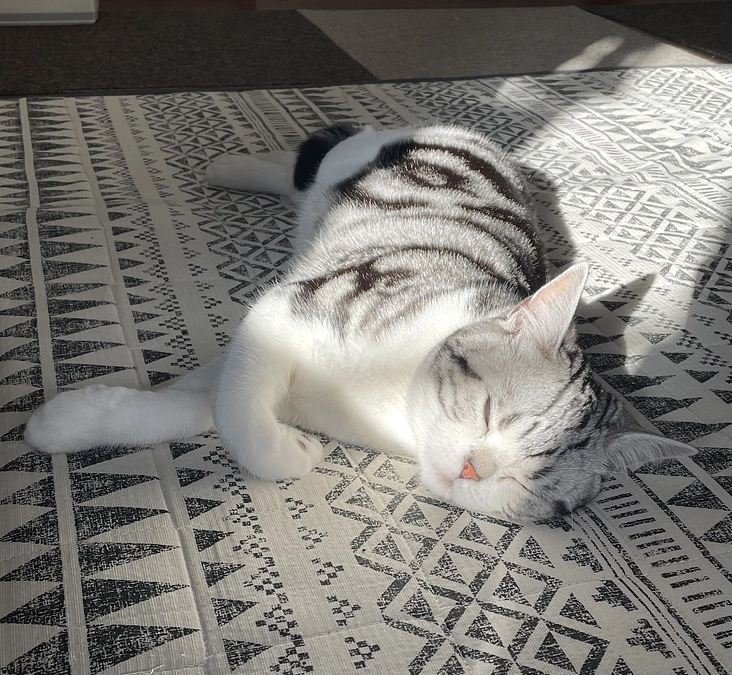 闘病生活162日目