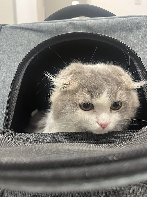 病院頑張りました！