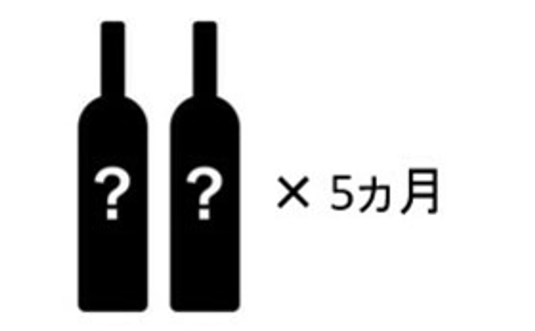 江川セレクトの日本酒+ワインの2本セット　×　5ヵ月分　（毎月発送）