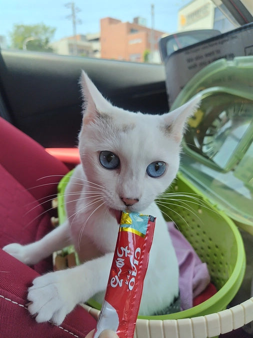 傷の経過は順調です〜🙆‍♀