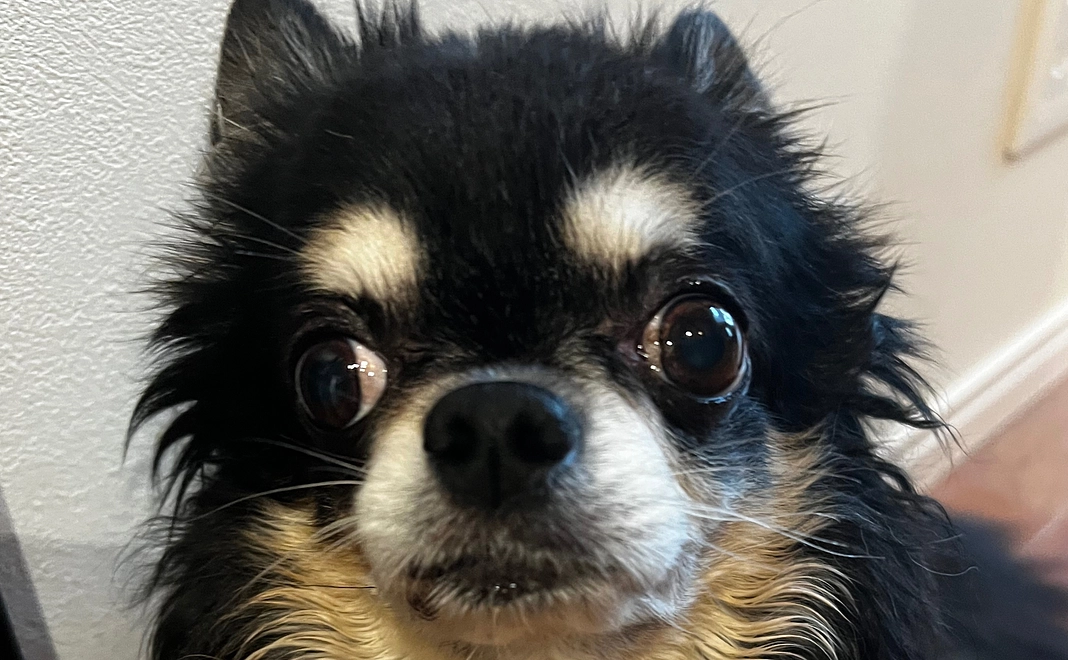 感謝のメールをお送りします　1000円