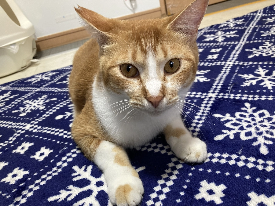 ホリエモン君、病院に行きました