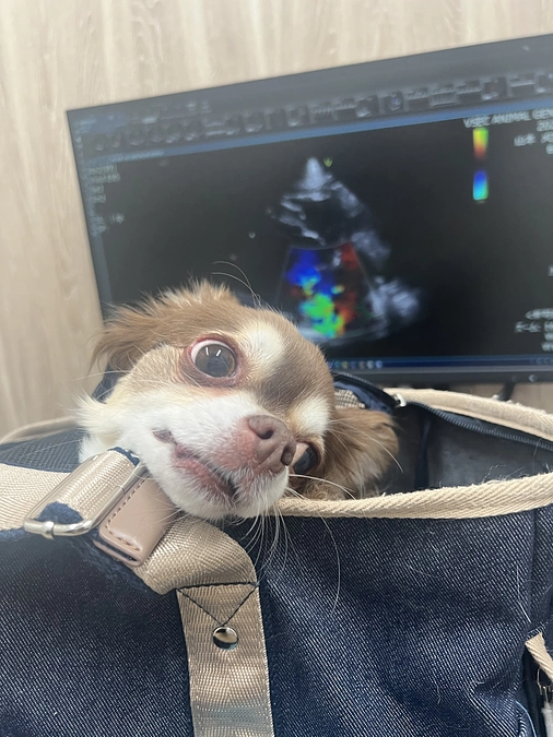 本日の検査のご報告