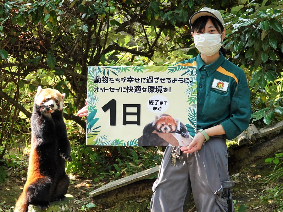 オットセイに快適な環境を！～プロジェクト終了まで【あと1日】～
