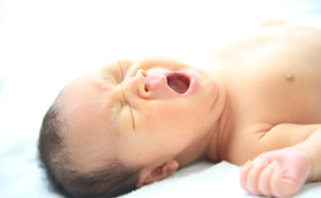 お礼のポストカードをプレゼント