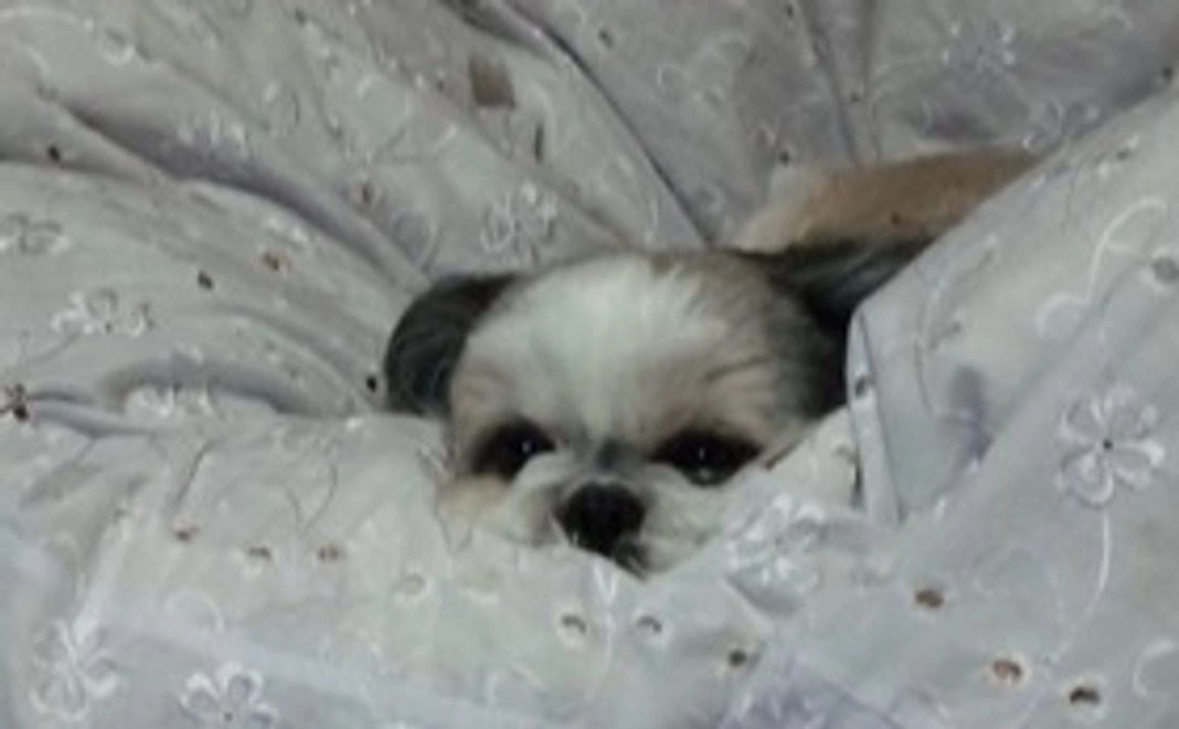 感謝のメール②ありがとうございます