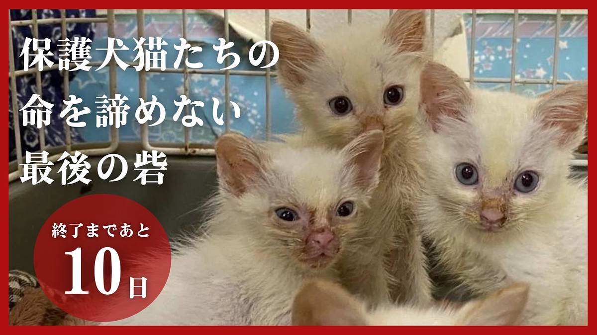 【応援投稿】りあん〜Lien〜の運営継続の危機。支援者の皆さまへご協力のお願い