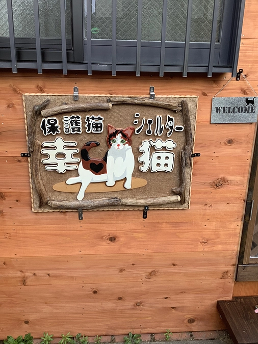 保護猫シェルター&猫カフェ　完成