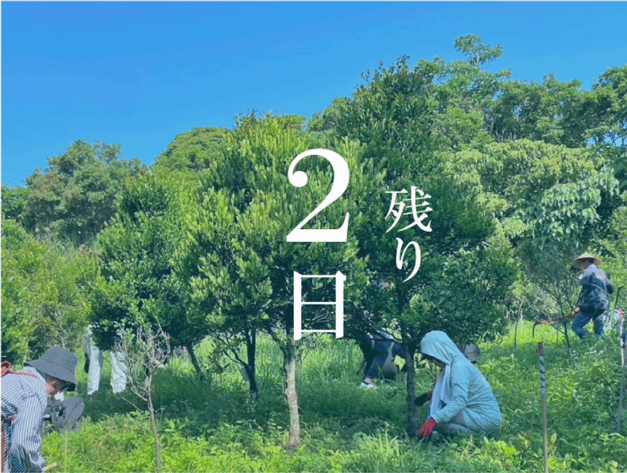 【残り2日！！】300万円 60％達成！