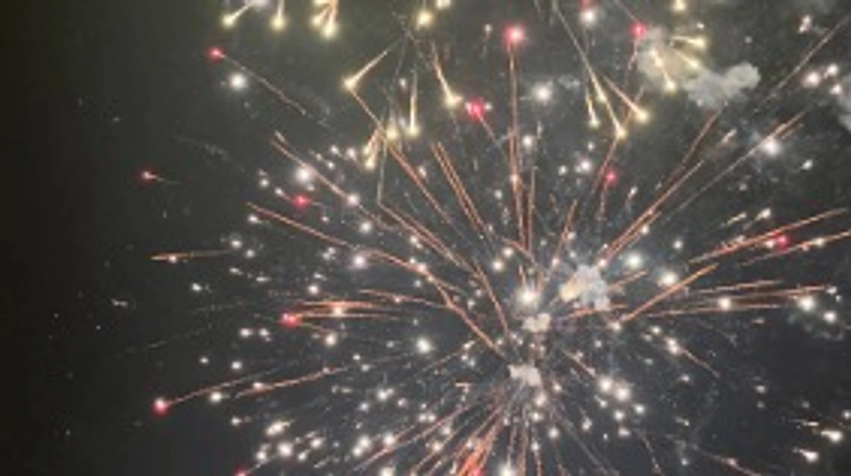 昨年の渡航はどうだった！？