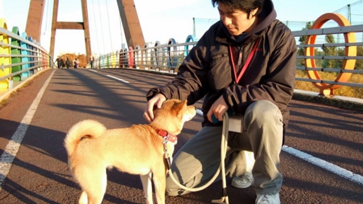 ペットシッターサービスを利用してみませんか？