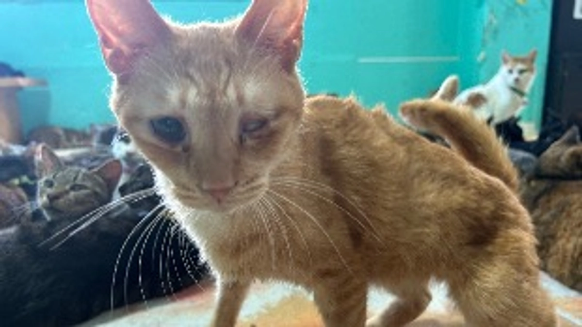 【50％達成！ありがとうございます】