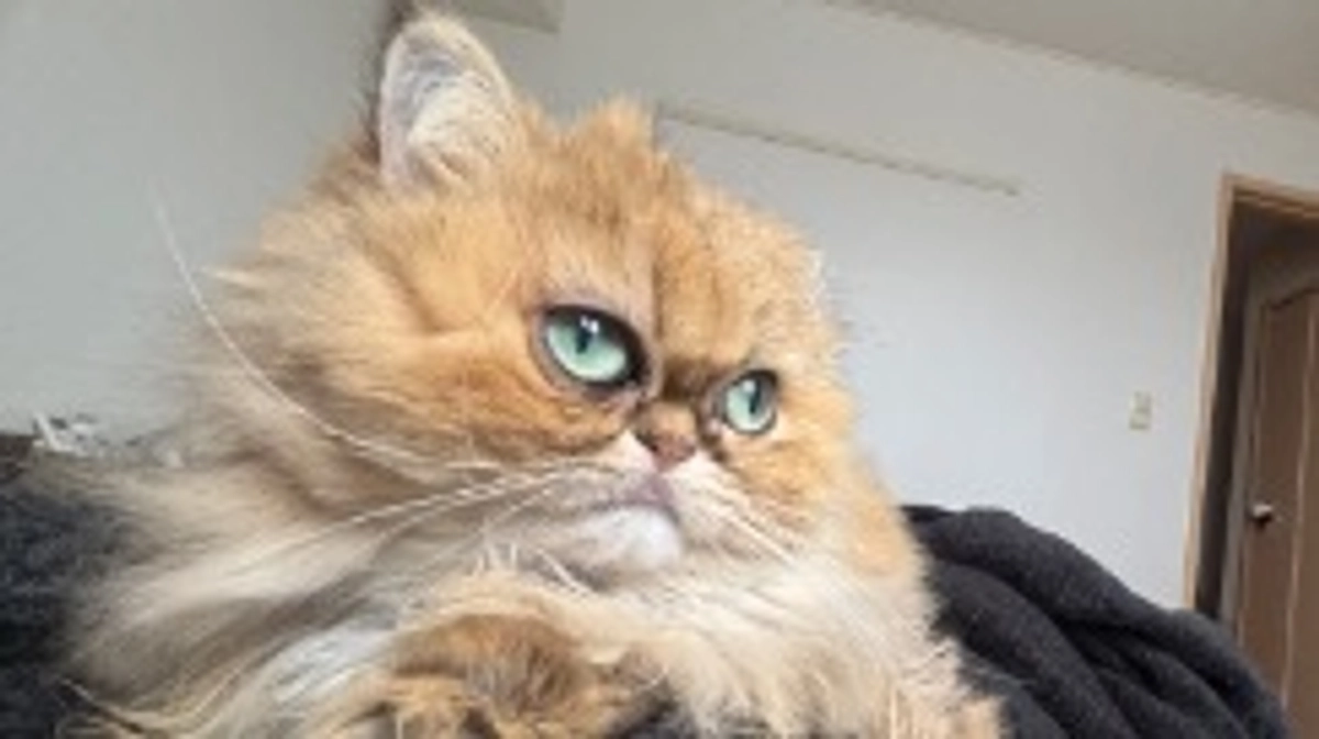 リターン準備行っております😊