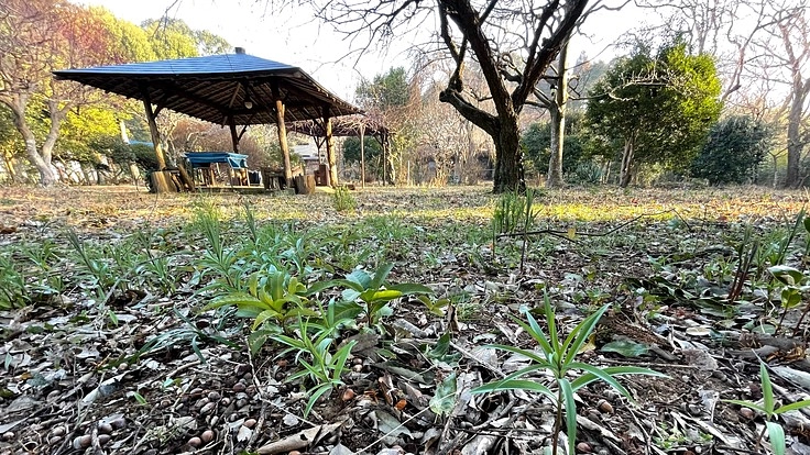 旧宮内庁御料牧場が設計した東屋の再建