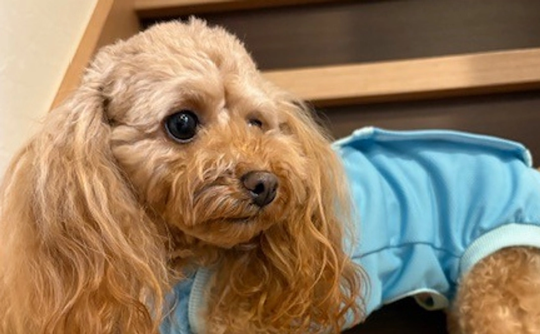 ゆむのサポーターになってください！No.4