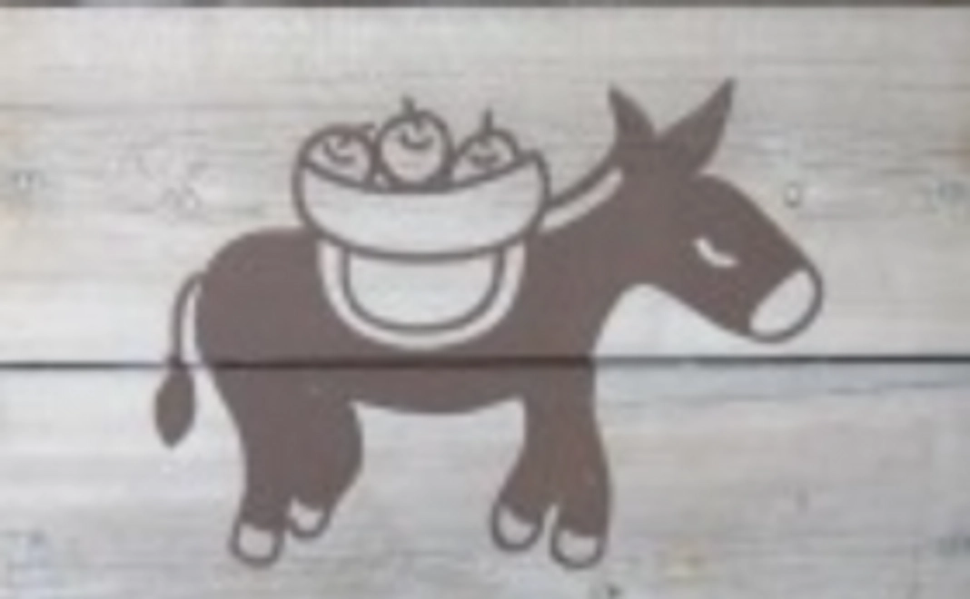 お礼のメール＋写真付きの報告書