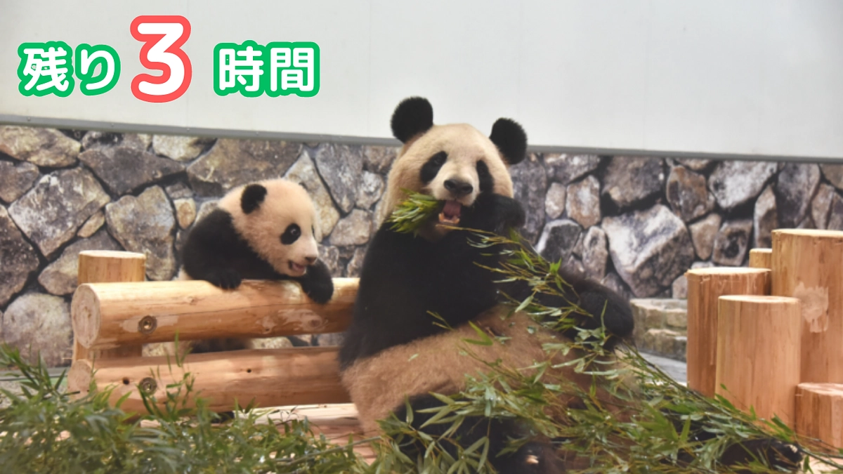 【あと3時間】TERRAVISTを届けたい！どうか後押しをお願い致します！！