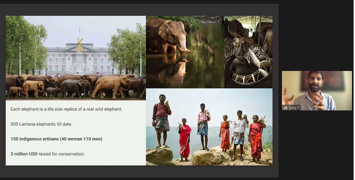 速報！CSIチャレンジ5の最優秀賞企業は、インドで侵略的植物から象のアートを製作する企業に