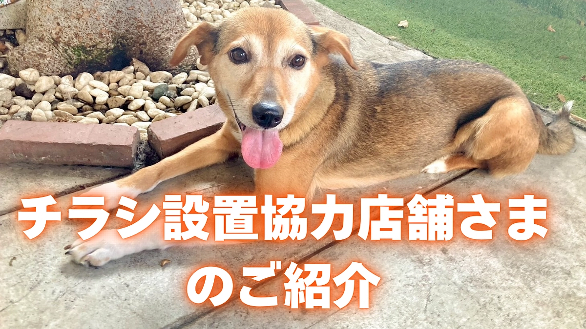 【第１弾】チラシ設置協力店舗様をご紹介します！