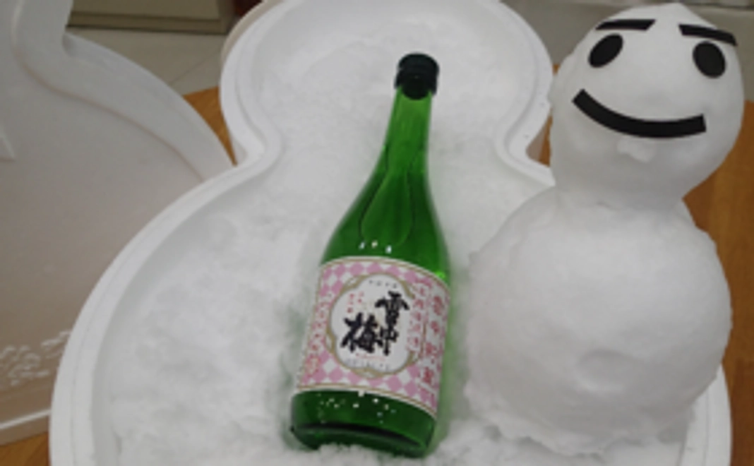 【激レア】【雪とともにお届け！】「雪中梅」純米原酒、雪中貯蔵品