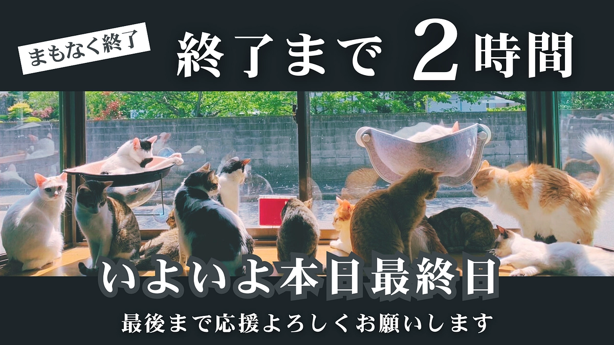 【本日最終日｜残り2時間を切りました】ラストスパート、23時まで共に駆け抜けてください！