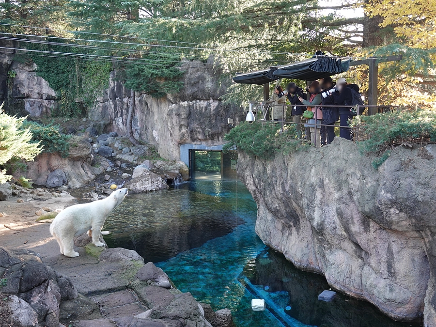 【実施しました】亜寒帯の森で開園前の動物観察会