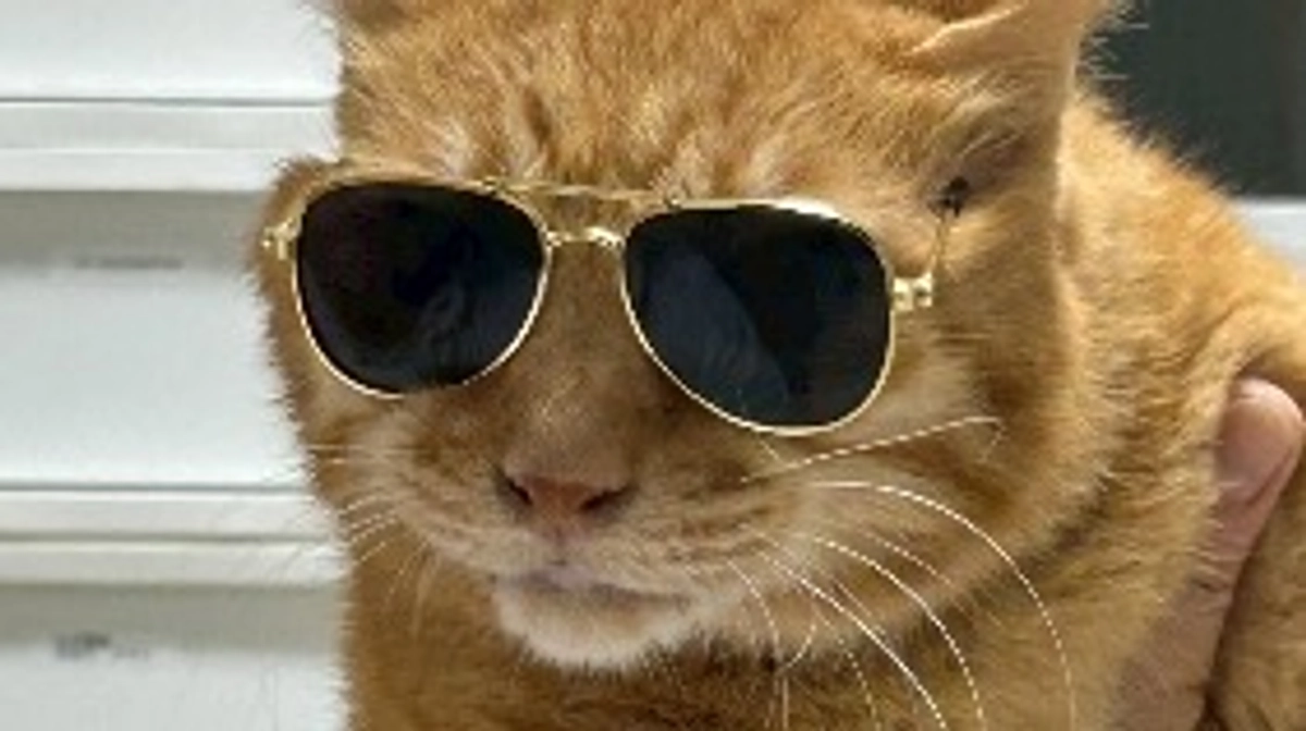 【ご報告】リターンについて