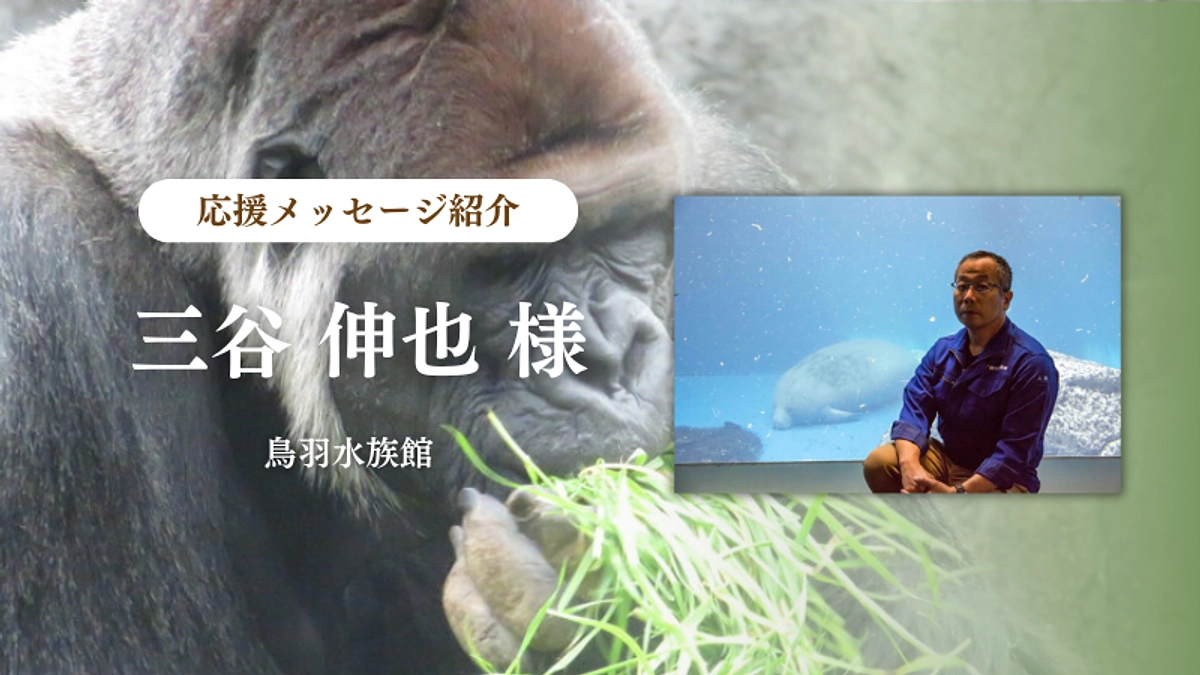 鳥羽水族館 三谷 伸也様からの応援メッセージのご紹介