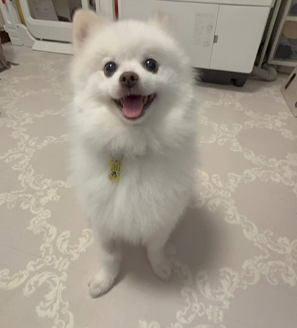 表情も良くなりました☺️