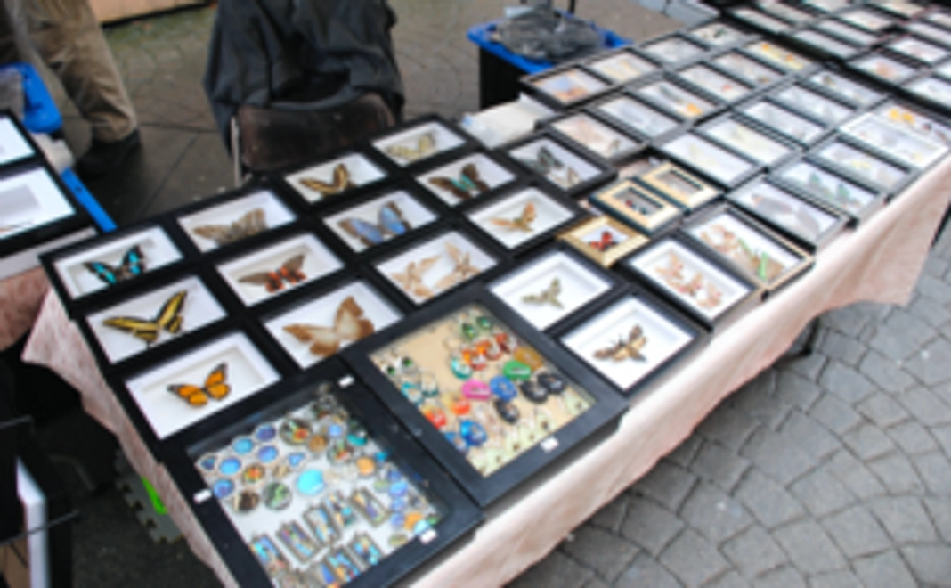 カレンダー１セットコース