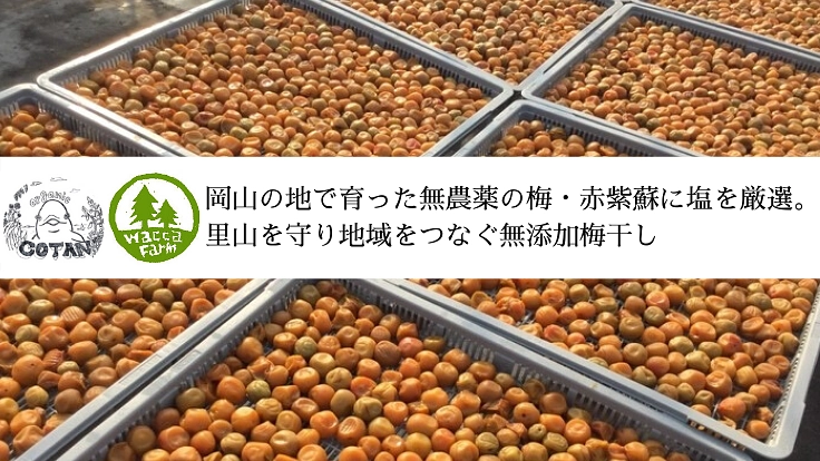 毎日の元気の源。自然と人とのつながりを大切にする梅干しづくり